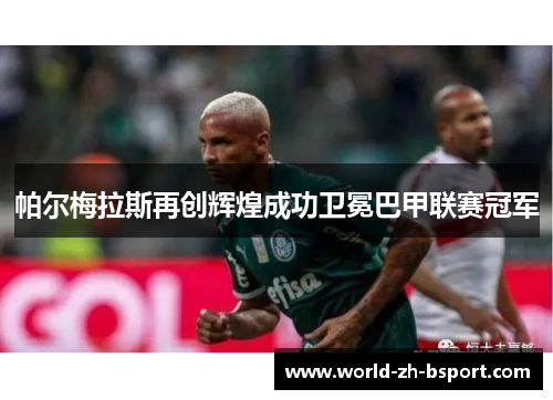 帕尔梅拉斯再创辉煌成功卫冕巴甲联赛冠军 帕尔梅拉斯再创辉煌成功卫冕巴甲联赛冠军