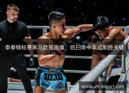 泰拳锦标赛黑马数据画像,低扫命中率成制胜关键 泰拳锦标赛黑马数据画像,低扫命中率成制胜关键