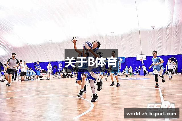 关于B体育